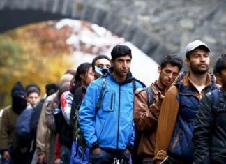 Tri tijela i 20 migranata pronađeno blizu granice BiH i Hrvatske