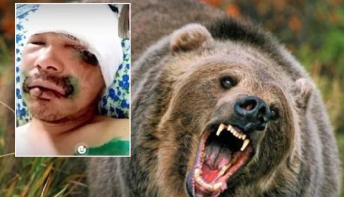 Rus odgrizao medvjedu jezik, a dobio i kaznu