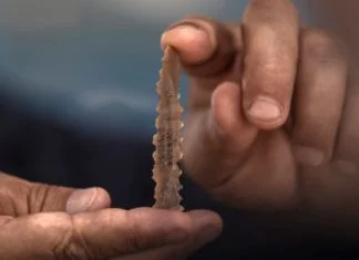 Naselje staro 9.000 godina otkriveno kod Jerusalema (VIDEO)