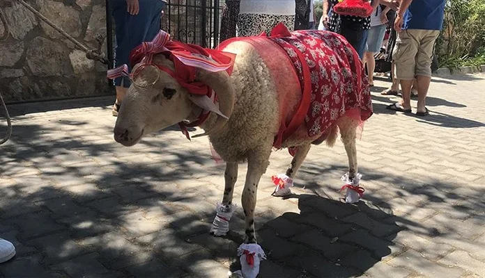 Muškarac ukrašeni kurban poklonio zaručnici