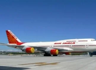 Vatrogasci vodenim topom uklanjali pčele sa prozora aviona (VIDEO)