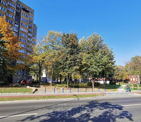 Bulevar Zenica