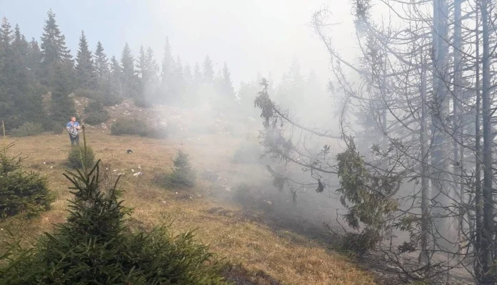Na Romaniji gori već peti dan, helikopter izviđa situaciju