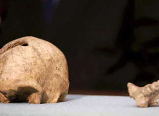 Posljednji Homo erectusi nestali su prije 110.000 godina Arheološka Otkrića