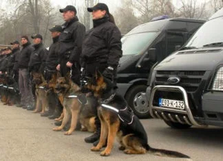 Policija kupila službene pse, koštali 11.998 KM Policija