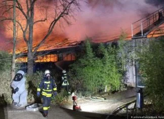 Veliki požar u njemačkom zoološkom vrtu, poginulo 30 majmuna B 200101049