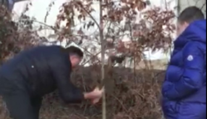 Milorad Dodik sa unukom poranio u šumu da odsijeku badnjak