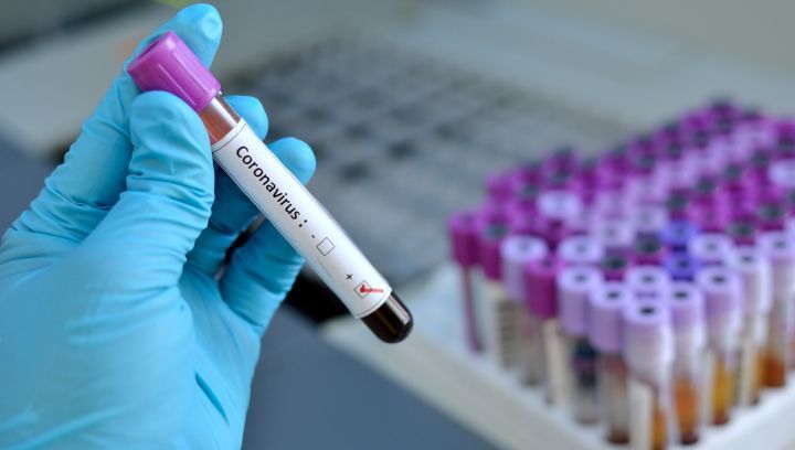 Naučnici pronašli dva tipa novog koronavirusa