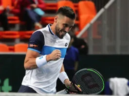Damir Džumhur