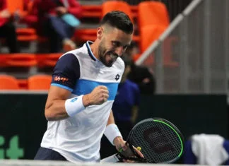 Damir Džumhur