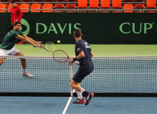 Davis Cup