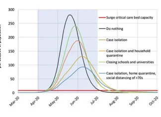 Zašto i kako karantin može zaustaviti širenje koronavirusa? Dijagram