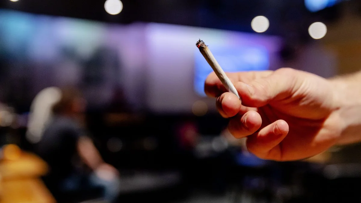 Nizozemci opet mogu kupovati travu, otvaraju se coffee shopovi