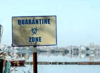 Pola čovječanstva u karantinu zbog pandemije koronavirusa 20200403 075143