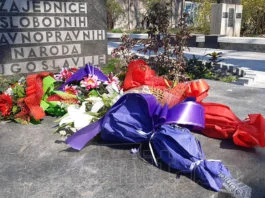 Polaganje Cvijeća Papirna