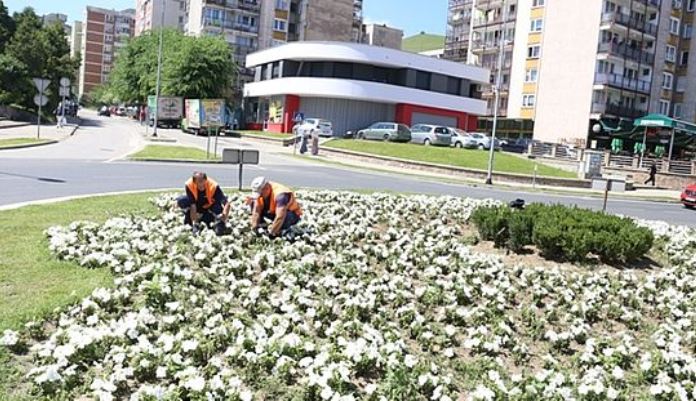 Obnovljene sadnice Cvijeta Srebrenice na kružnom toku u Mokušnicama