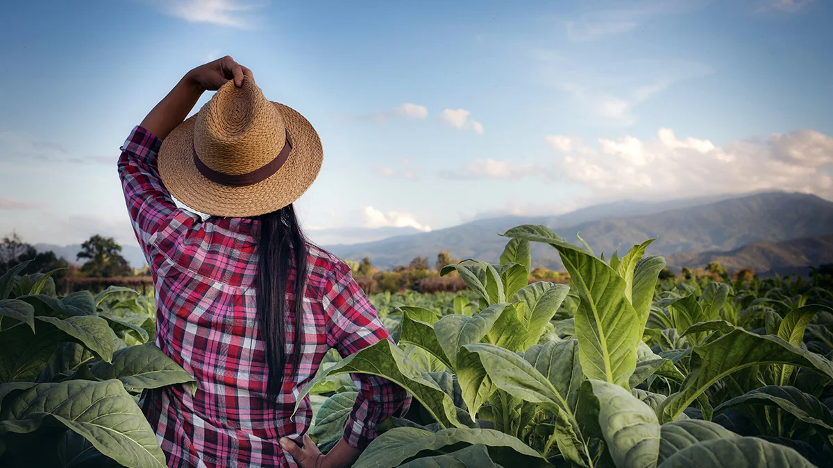 Slušaj prirodu: Ekološka proizvodnja (AUDIO)