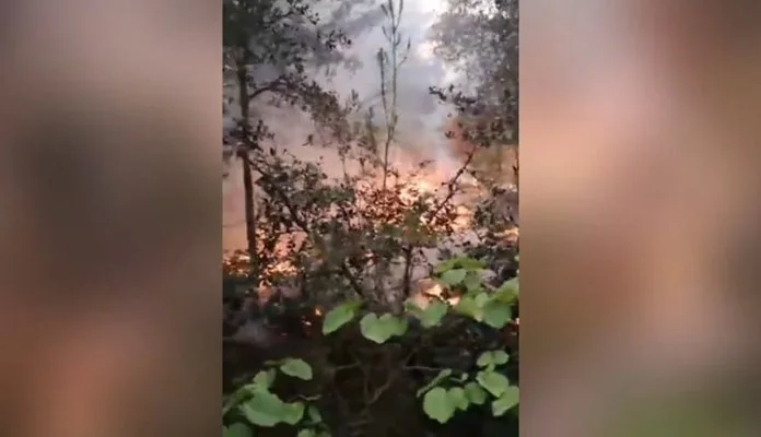 Požar na Zrću: Na terenu više od 40 vatrogasaca, stiže i kanader