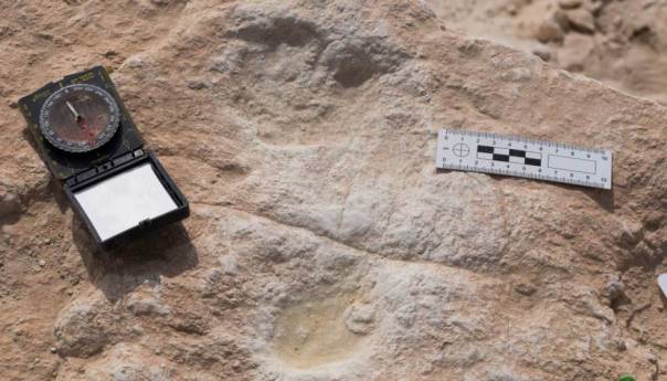 Pronađeni tragovi stopala stari 120.000 godina