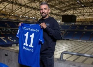 Vedad Ibišević novi igrač Schalkea Vedad Ibišević
