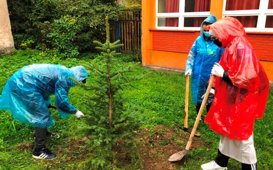 Akcija Sadnje Drveca U Zenici