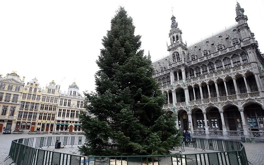 U susret praznicima u Briselu postavljena jelka od 18 metara