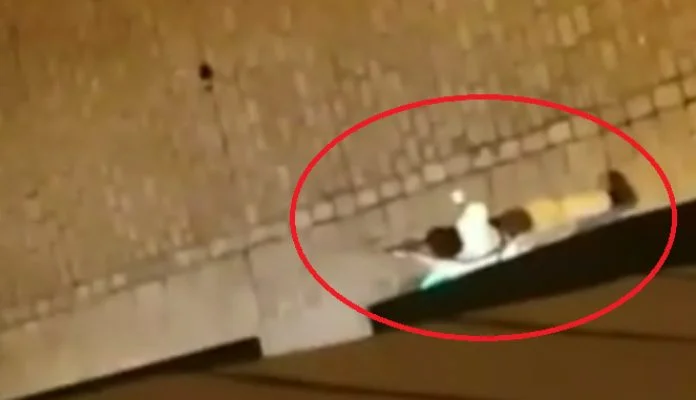 Pucnjava kod sinagoge u Beču: Ima mrtvih, u toku velika antiteroristička operacija (VIDEO)