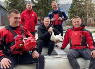Članovi ISS-a Zenica spasili povrijeđenog labuda iz rijeke Bosne ISS Zenica Labud