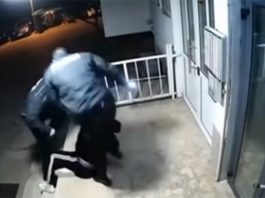 Policijska Brutalnost