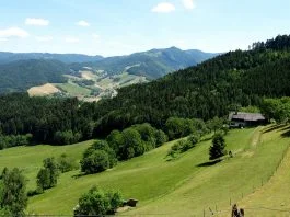 2. Clanak Istaknuta