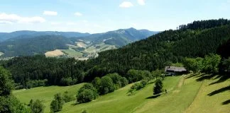 2. Clanak Istaknuta