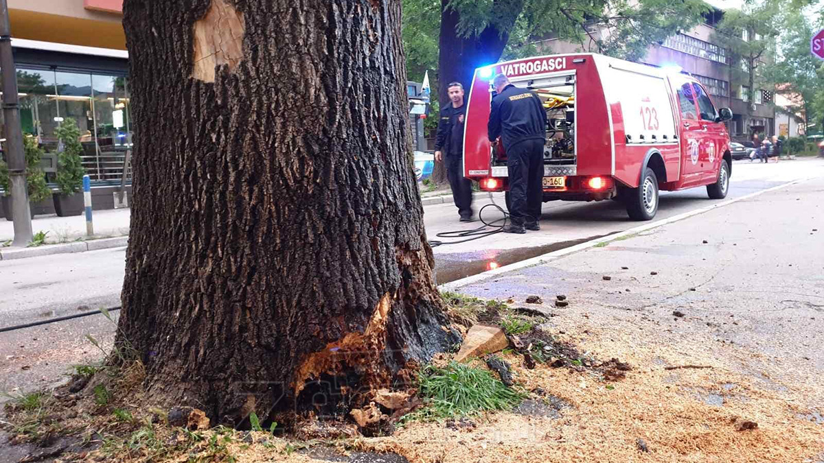 Gori stablo u Masarykovoj ulici u Zenici (FOTO)