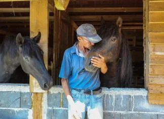 Amer Beganović Smet Zenica