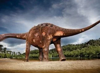 Gotovo polovina Amerikanaca vjeruje da dinosauri još uvijek postoje Dinosaur