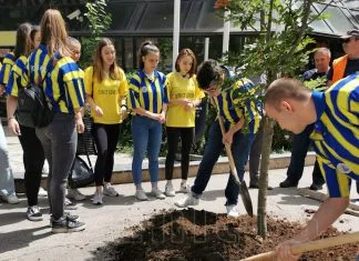 Učenici KŠC “Sveti Pavao” posadili drvo u Masarykovoj ulici (FOTO) Maturanti KŠC
