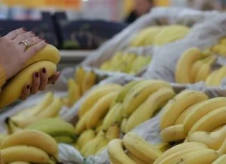 Cijene banana će nastaviti rasti, a sve zbog klimatskih promjena Banane 750x460