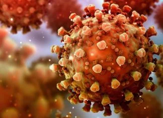 Kako bi mogao da izgleda kraj pandemije Covida-19? Virus Ilustracija