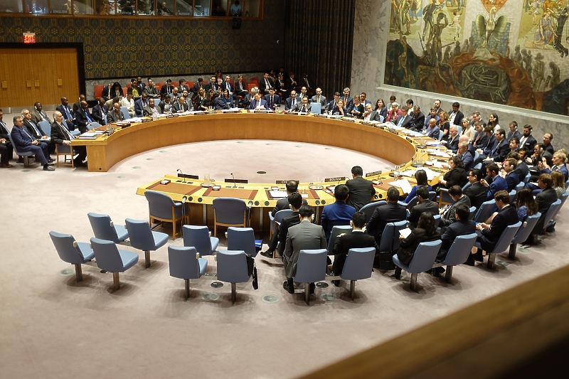 Zasjedanje Vijeća Sigurnosti Ujedinjenih Nacija