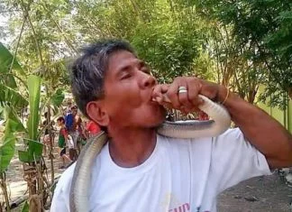 Svima je poručio da je imun na otrov zmija pa je poljubio kobru. Ovo mu je zadnja fotografija Popio Otrov Zmije