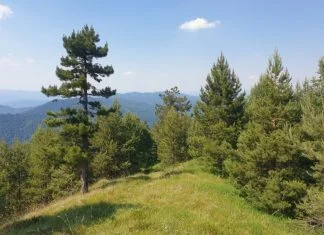 Priroda Tvrtkovac