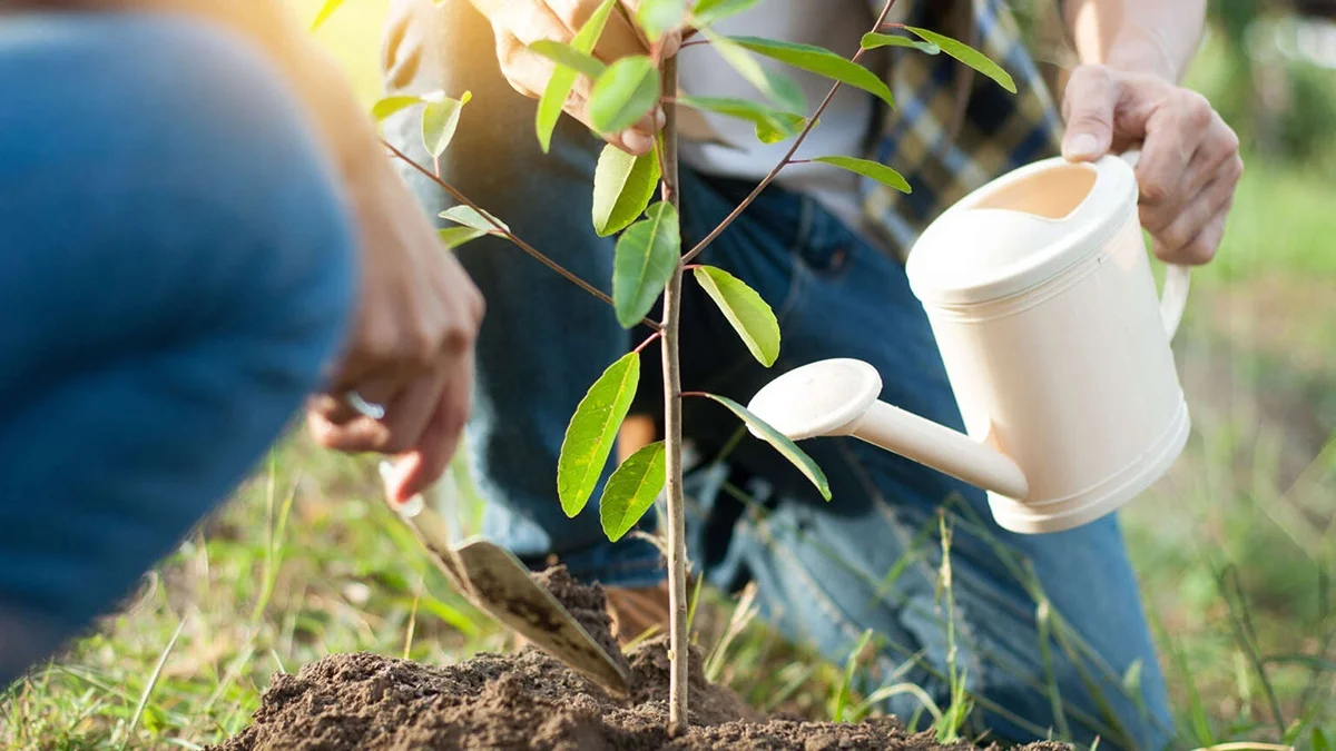 Zdravstvena Ekologija ISTAKNUTA