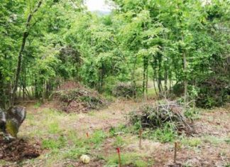 Deminerski Timovi Fucz A Na Podrucju Turbeta Ocistili 60 072 M2 Deminiranje Travnik 60e57d4a5261b