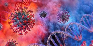 Koronavirus