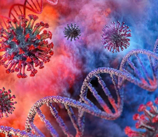 Koronavirus