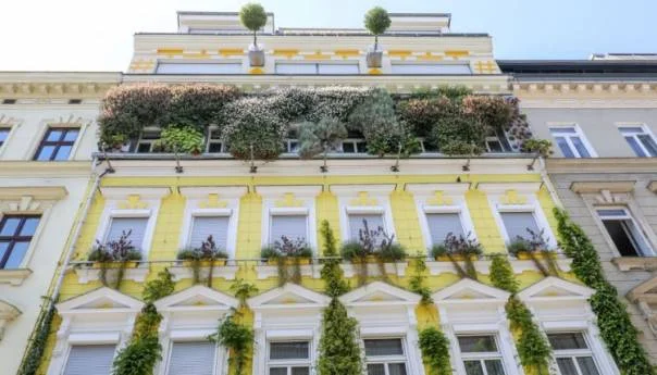 Subvencije Za Zelene Krovove Do 20 200 Eura Copyright Stadt Wien F Rthner 60ed8a9652269