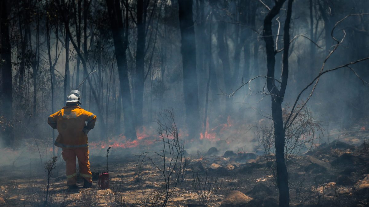 Požar progutao 12.000 hektara površine