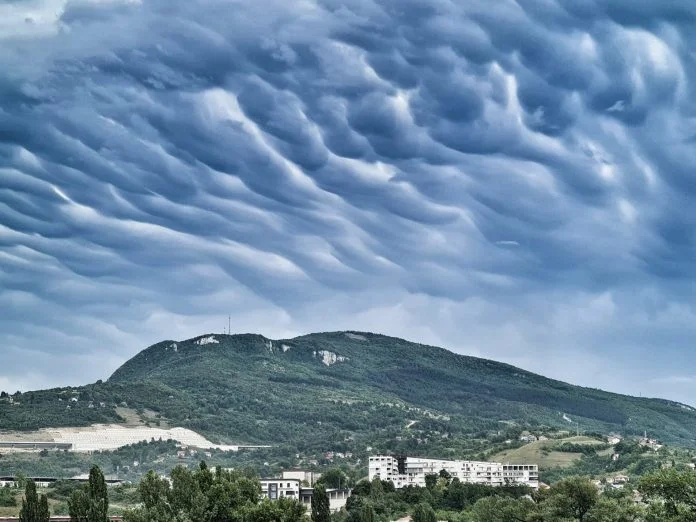 Zenica Sladić Oblaci