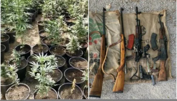 Kod Gruda Pronadjen Zasad Marihuane Oduzeti Spid I Oruzje Droga 6107945458a94