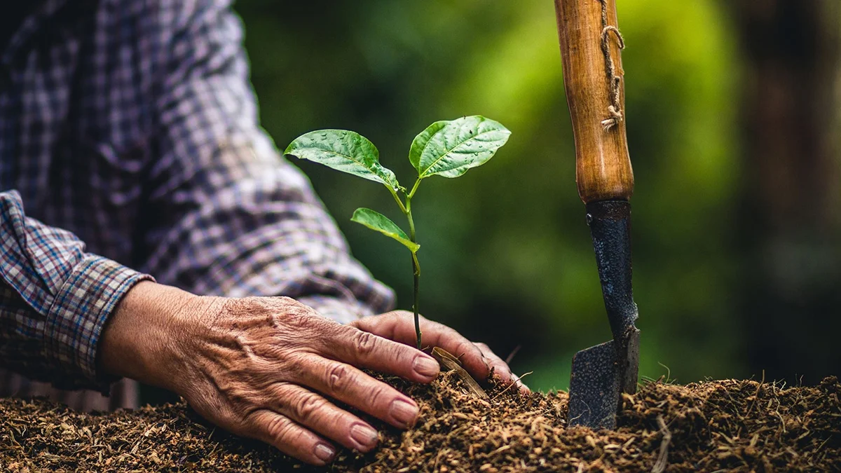Emisija 9 Zaštita Zdravlja Biljaka Članak