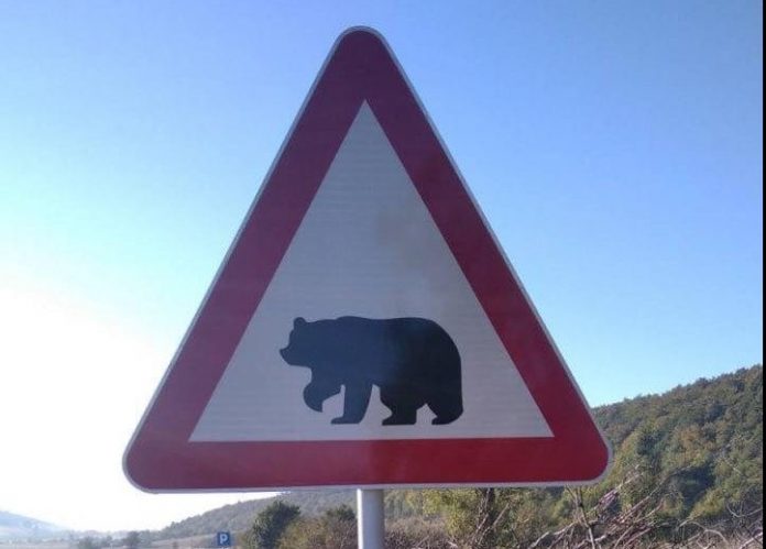 Saobraćajni Znak Medvjeda